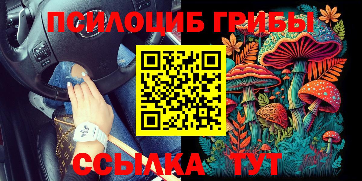Ейск  Псилоцибиновые грибы Psilocybe  Вход с VPN 